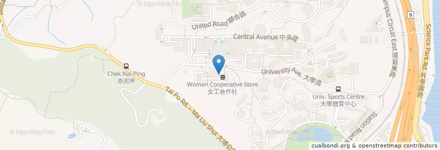 Mapa de ubicacion de 范克廉樓咖啡閣 Benjamin Franklin Centre Coffee Corner en 中国, 香港, 広東省, 新界, 沙田區 Sha Tin District.
