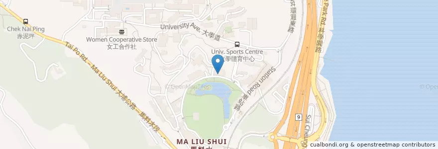 Mapa de ubicacion de 崇基學院學生膳堂 Chung Chi College Student Canteen en الصين, هونغ كونغ, غوانغدونغ, الأقاليم الجديدة, 沙田區 Sha Tin District.