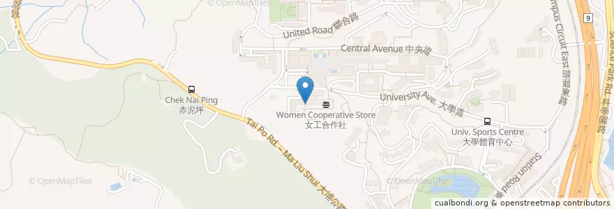 Mapa de ubicacion de Benjamin Franklin Centre Fast Food Shop en China, Hong Kong, Guangdong, New Territories, Sha Tin District.