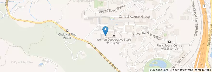 Mapa de ubicacion de 池畔軒 Benjamin Franklin Centre Fast Food Shop (Western Dining Section / Pool Side Café) en China, Hong Kong, Guangdong, Wilayah Baru, 沙田區 Sha Tin District.