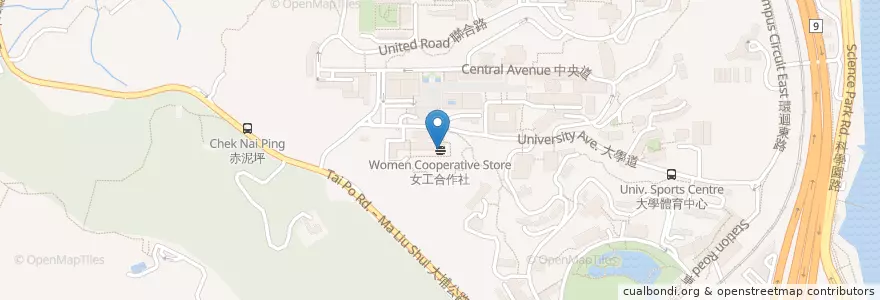 Mapa de ubicacion de 女工合作社 Women Cooperative Store en China, Hong Kong, Provincia De Cantón, Nuevos Territorios, 沙田區 Sha Tin District.