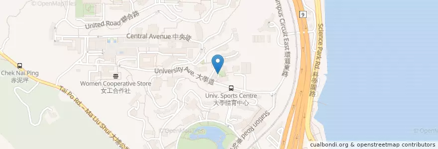 Mapa de ubicacion de 善衡書院餐廳附設咖啡閣 Canteen of S.H. Ho College (with Café) en الصين, هونغ كونغ, غوانغدونغ, الأقاليم الجديدة, 沙田區 Sha Tin District.