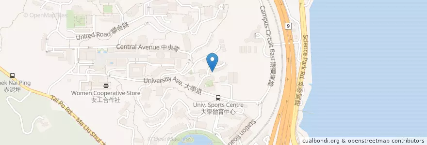 Mapa de ubicacion de 晨興書院咖啡閣 Morningside College Café en China, Hong Kong, Cantão, Novos Territórios, 沙田區 Sha Tin District.