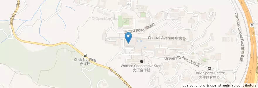 Mapa de ubicacion de 中國研究服務中心 Universities Service Centre for China Studies en China, Hong Kong, Cantão, Novos Territórios, 沙田區 Sha Tin District.