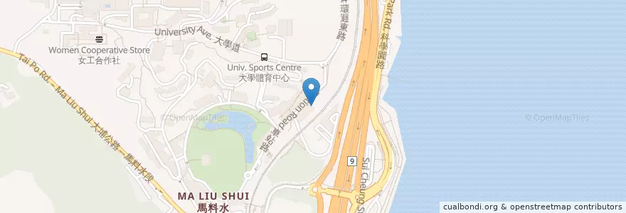 Mapa de ubicacion de 建築學圖書館 Architecture Library en China, Hong Kong, Cantão, Novos Territórios, 沙田區 Sha Tin District.