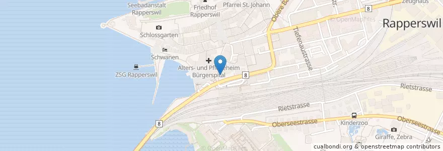 Mapa de ubicacion de Nelson en Schweiz/Suisse/Svizzera/Svizra, Sankt Gallen, Wahlkreis See-Gaster, Rapperswil-Jona.