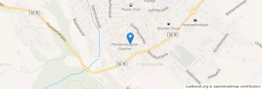 Mapa de ubicacion de Henry's Pub en Suisse, Saint-Gall, Wahlkreis Sarganserland, Flums.