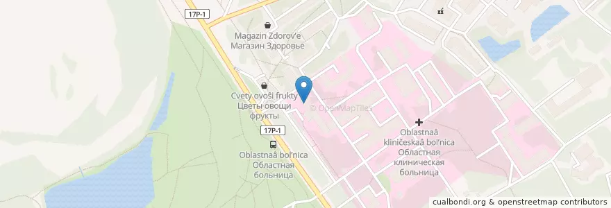 Mapa de ubicacion de Поликлиника областной клинической больницы en Rusia, Distrito Federal Central, Óblast De Vladímir, Городской Округ Владимир.