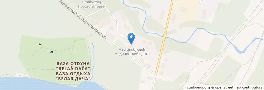 Mapa de ubicacion de Медицинский центр en Russia, Northwestern Federal District, Leningrad Oblast, Laukaa District, Лужское Городское Поселение.