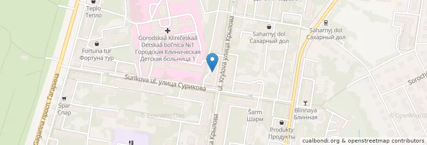 Mapa de ubicacion de Детская поликлиника № 1 Приокского района en ロシア, 沿ヴォルガ連邦管区, ニジニ・ノヴゴロド州, ニジニ・ノヴゴロド管区.