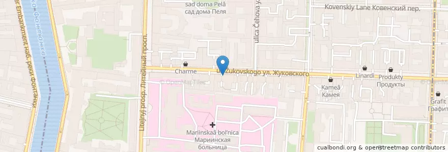 Mapa de ubicacion de Клиника Наран en Rusia, Северо-Западный Федеральный Округ, Óblast De Leningrado, San Petersburgo, Центральный Район, Литейный Округ.