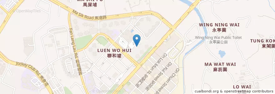 Mapa de ubicacion de Fanling Public Library en China, Hong Kong, Guangdong, New Territories, North District.