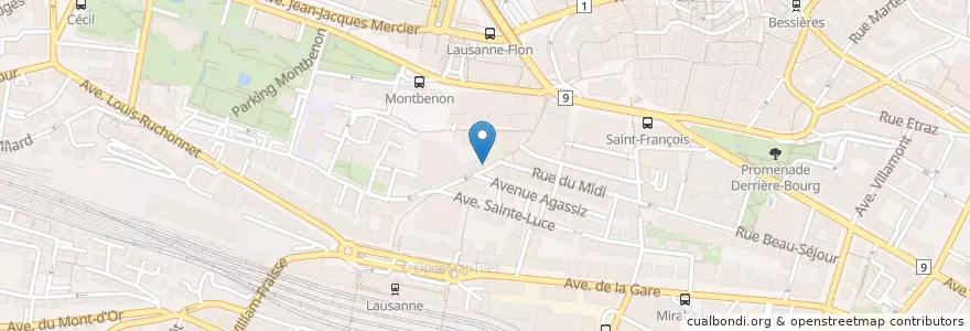 Mapa de ubicacion de Bulldog Bar & Resto en Schweiz/Suisse/Svizzera/Svizra, Vaud, District De Lausanne, Lausanne.
