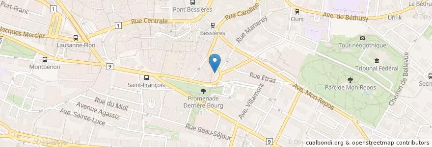 Mapa de ubicacion de Café Saint Pierre en İsviçre, Vaud, District De Lausanne, Lausanne.