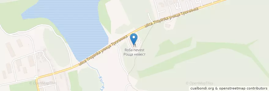 Mapa de ubicacion de Роща невест en Rússia, Distrito Federal Central, Oblast De Kursk, Курский Район, Городской Округ Курск.