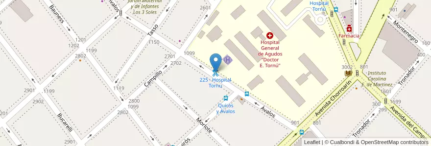 Mapa de ubicacion de 225 - Hospital Tornu en Arjantin, Ciudad Autónoma De Buenos Aires, Buenos Aires, Comuna 15.