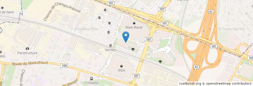 Mapa de ubicacion de Institut Myrrah en Svizzera, Ginevra, Ginevra, Vernier.