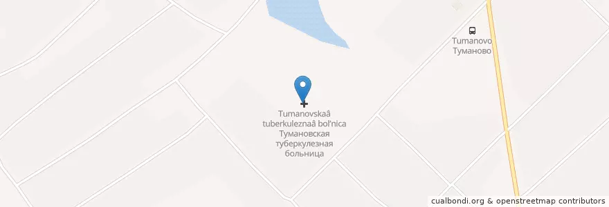 Mapa de ubicacion de Тумановская туберкулезная больница en Rusia, Distrito Federal Central, Óblast De Smolensk, Вяземский Район, Тумановское Сельское Поселение.