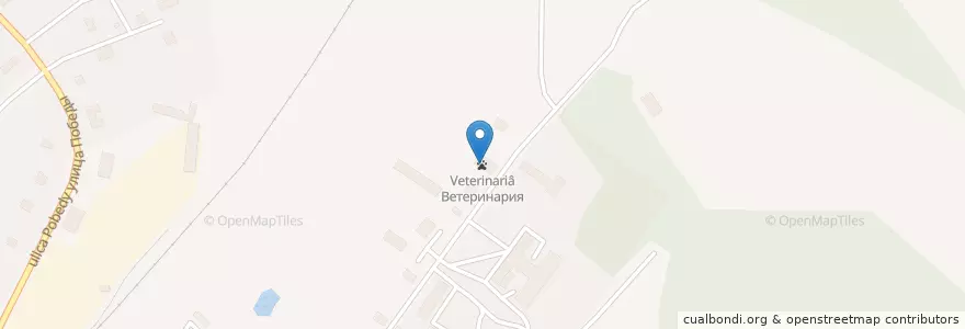 Mapa de ubicacion de Ветеринария en ロシア, 北西連邦管区, プスコフ州, Плюсский Район, Городское Поселение Плюсса.