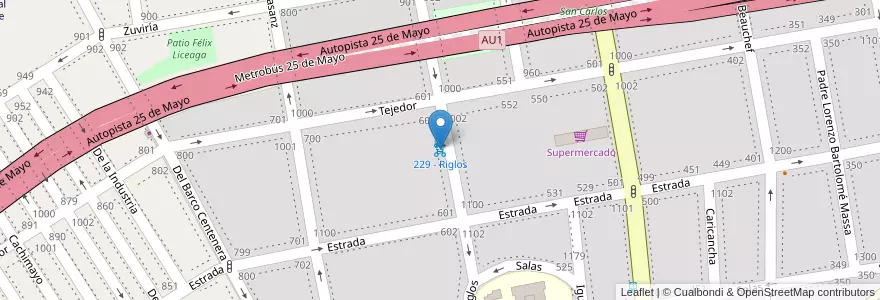 Mapa de ubicacion de 229 - Riglos en Argentina, Ciudad Autónoma De Buenos Aires, Buenos Aires.
