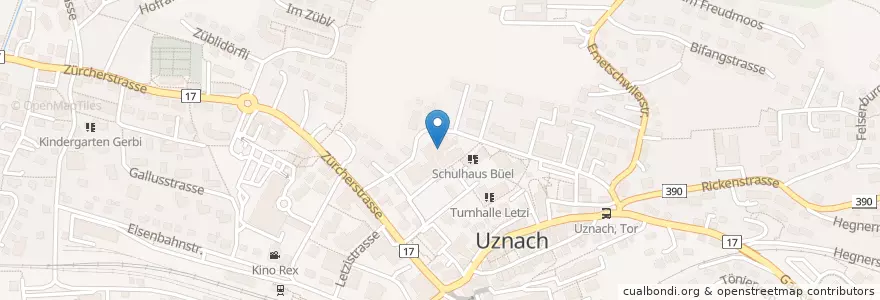 Mapa de ubicacion de Turnhalle Haslen en スイス, ザンクト・ガレン州, Wahlkreis See-Gaster, Uznach.