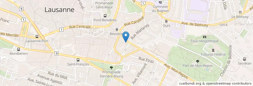 Mapa de ubicacion de Bleu Lezard en Suiza, Valdia, District De Lausanne, Lausanne.
