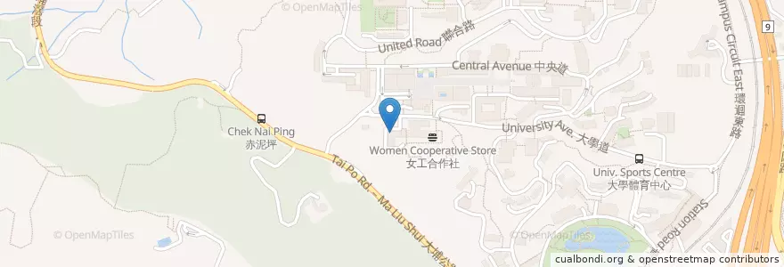 Mapa de ubicacion de 恆生銀行 Hang Seng Bank en چین, هنگ‌کنگ, گوانگ‌دونگ, 新界 New Territories, 沙田區 Sha Tin District.