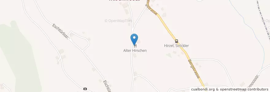 Mapa de ubicacion de Alter Hirschen en 瑞士, 蘇黎世, Bezirk Horgen, Horgen.