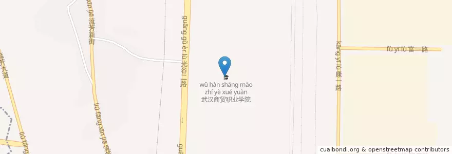 Mapa de ubicacion de 武汉商贸职业学院 en 中国, 湖北省, 武汉市, 东湖新技术开发区（托管）, 江夏区, 佛祖岭街道.