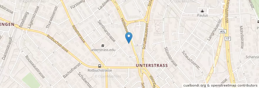 Mapa de ubicacion de Mittaghort Hofwiesenstrasse en Schweiz/Suisse/Svizzera/Svizra, Zürich, Bezirk Zürich, Zürich.