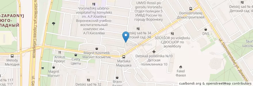 Mapa de ubicacion de Центр лечения боли en Rusia, Distrito Federal Central, Óblast De Vorónezh, Городской Округ Воронеж.