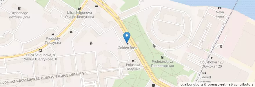 Mapa de ubicacion de Golden Rose en ロシア, 北西連邦管区, レニングラード州, サンクト ペテルブルク, Невский Район.