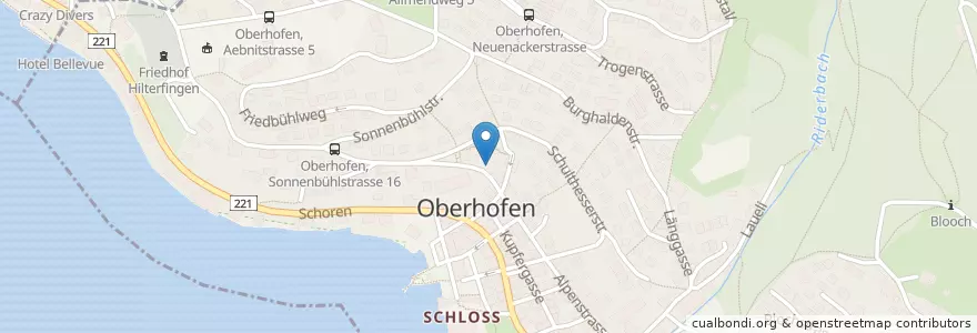 Mapa de ubicacion de Hofweingarten en Svizzera, Berna, Verwaltungsregion Oberland, Verwaltungskreis Thun, Oberhofen Am Thunersee.