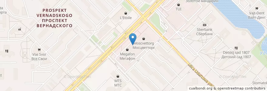 Mapa de ubicacion de Subway en Rusland, Centraal Federaal District, Moskou, Западный Административный Округ, Район Проспект Вернадского.
