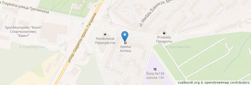 Mapa de ubicacion de Аптека en Russie, District Fédéral De La Volga, Oblast De Nijni Novgorod, Городской Округ Нижний Новгород.