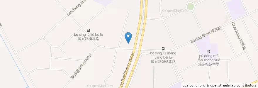 Mapa de ubicacion de 中国建设银行 en Çin, Şanghay, Pudong.