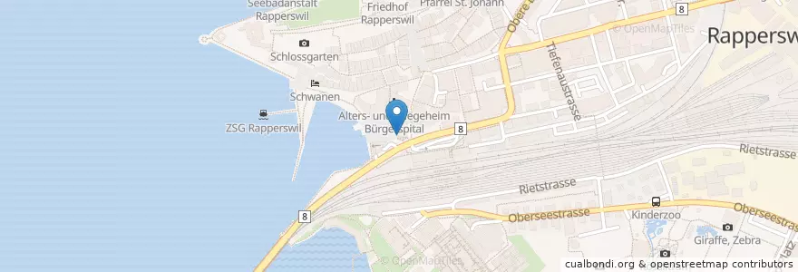 Mapa de ubicacion de Bahnhof-Apotheke en İsviçre, Sankt Gallen, Wahlkreis See-Gaster, Rapperswil-Jona.