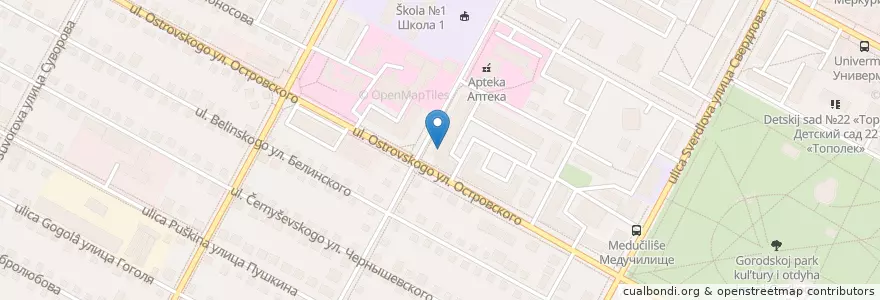 Mapa de ubicacion de Сбербанк en Rusia, Сибирский Федеральный Округ, Wilayah Novosibirsk, Городской Округ Бердск.