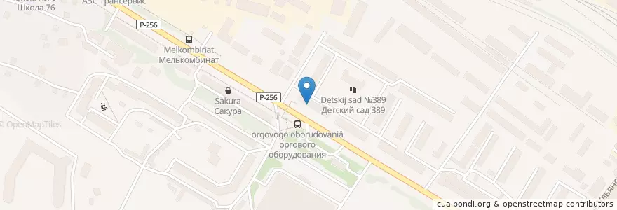 Mapa de ubicacion de Сбербанк en Rusia, Сибирский Федеральный Округ, Wilayah Novosibirsk, Городской Округ Новосибирск.