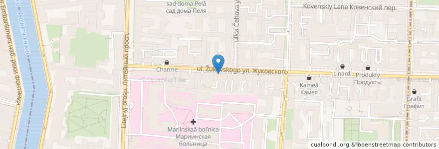 Mapa de ubicacion de 812 en Russia, Northwestern Federal District, Leningrad Oblast, Saint Petersburg, Центральный Район, Литейный Округ.