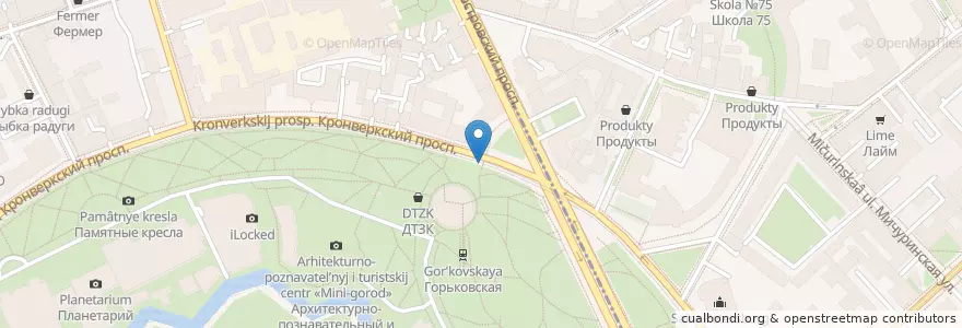 Mapa de ubicacion de Пирожковая en Russie, District Fédéral Du Nord-Ouest, Oblast De Léningrad, Saint-Pétersbourg, Петроградский Район, Округ Кронверкское.