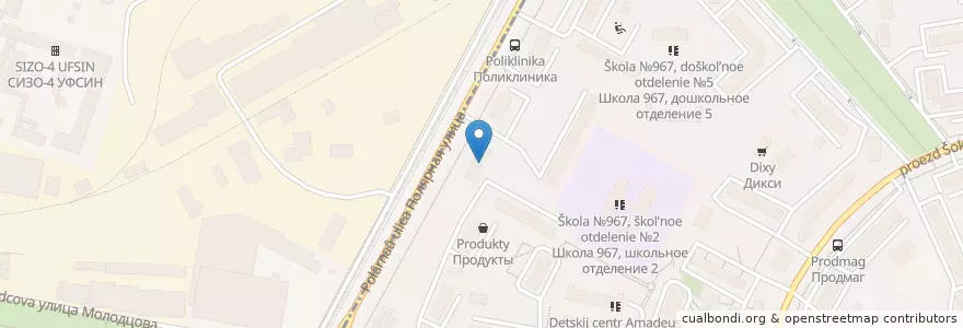 Mapa de ubicacion de Детская поликлиника №110 (филиал №2) en Russia, Central Federal District, Moscow, North-Eastern Administrative Okrug, Yuzhnoye Medvedkovo District.