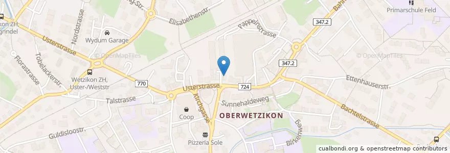Mapa de ubicacion de Heinz Schaub en Suisse, Zurich, Bezirk Hinwil, Wetzikon (Zh).