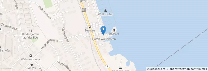 Mapa de ubicacion de Hafen Wollishofen en Switzerland, Zurich, District Zurich, Zurich.