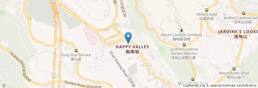 Mapa de ubicacion de Wong Nai Chung Public Library en China, Guangdong, Hong Kong, Hong Kong Island, New Territories, Wan Chai District.