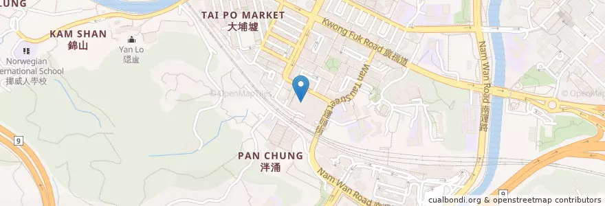 Mapa de ubicacion de 東記上海麵 en 中国, 香港 Hong Kong, 广东省, 新界 New Territories, 大埔區 Tai Po District.