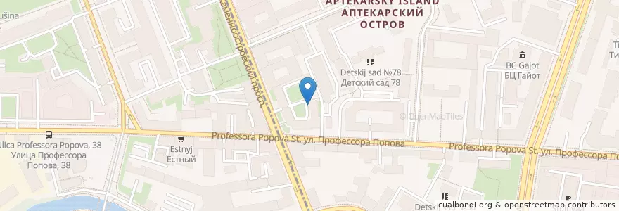 Mapa de ubicacion de Особняк en Russland, Föderationskreis Nordwest, Oblast Leningrad, Sankt Petersburg, Petrograder Rajon, Bezirk Apothekerinsel.