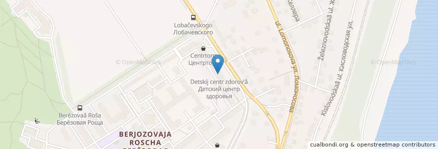 Mapa de ubicacion de Детский центр здоровья en Rusland, Centraal Federaal District, Oblast Voronezj, Городской Округ Воронеж.