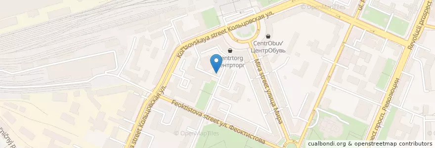 Mapa de ubicacion de Храм апостола и евангелиста Луки en Russia, Central Federal District, Voronezh Oblast, Voronezh.