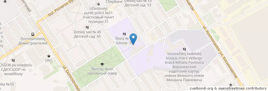 Mapa de ubicacion de СДЮСШОР № 5 en روسيا, Центральный Федеральный Округ, فارونيش أوبلاست, Городской Округ Воронеж.